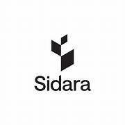 Sidara Internship